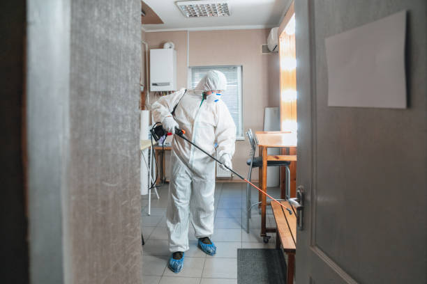 Best Commercial Mold Inspection  in Zephyrhills North, FL