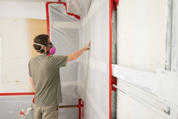Best Basement Mold Removal  in Zephyrhills North, FL