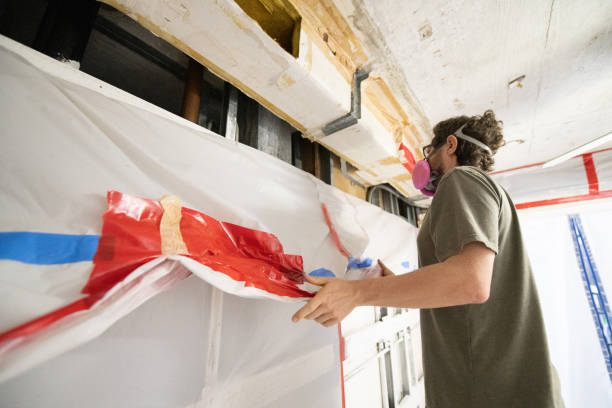 Best Crawl Space Mold Remediation  in Zephyrhills North, FL