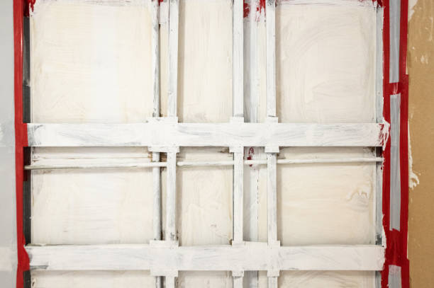 Best Mold Damage Restoration  in Zephyrhills North, FL