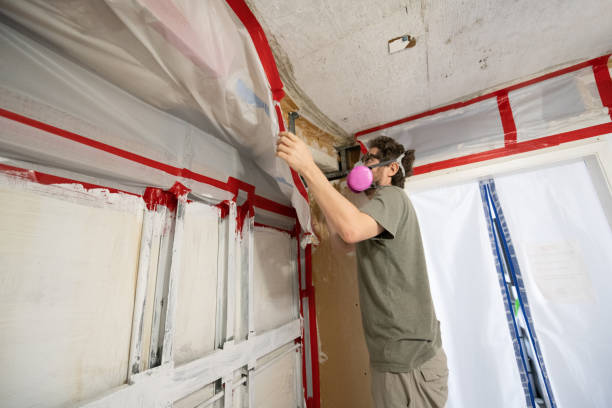 Best Mold Prevention Services  in Zephyrhills North, FL