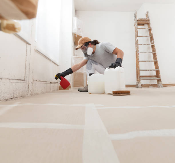 Best Mold Prevention Services  in Zephyrhills North, FL