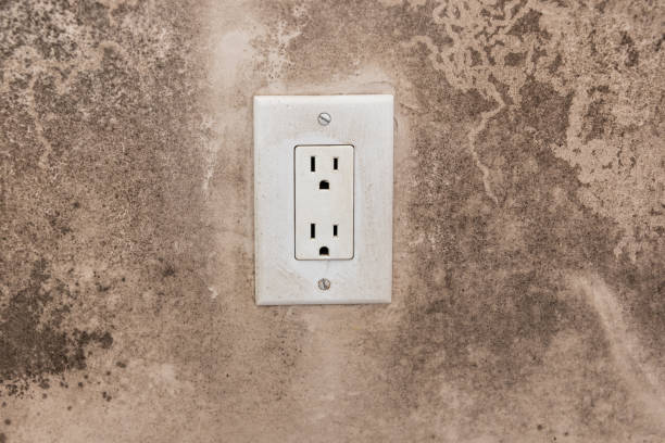 Best Post-Construction Mold Inspection  in Zephyrhills North, FL